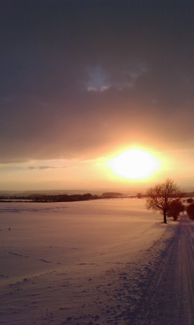 IMAG0109.jpg